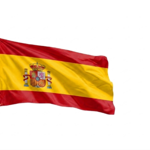 deine-premium-flagge-fuer-die-wm-2026-zeige-echte-fan-leidenschaft-3